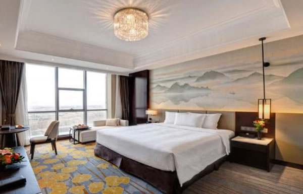 Guest Room Furniture